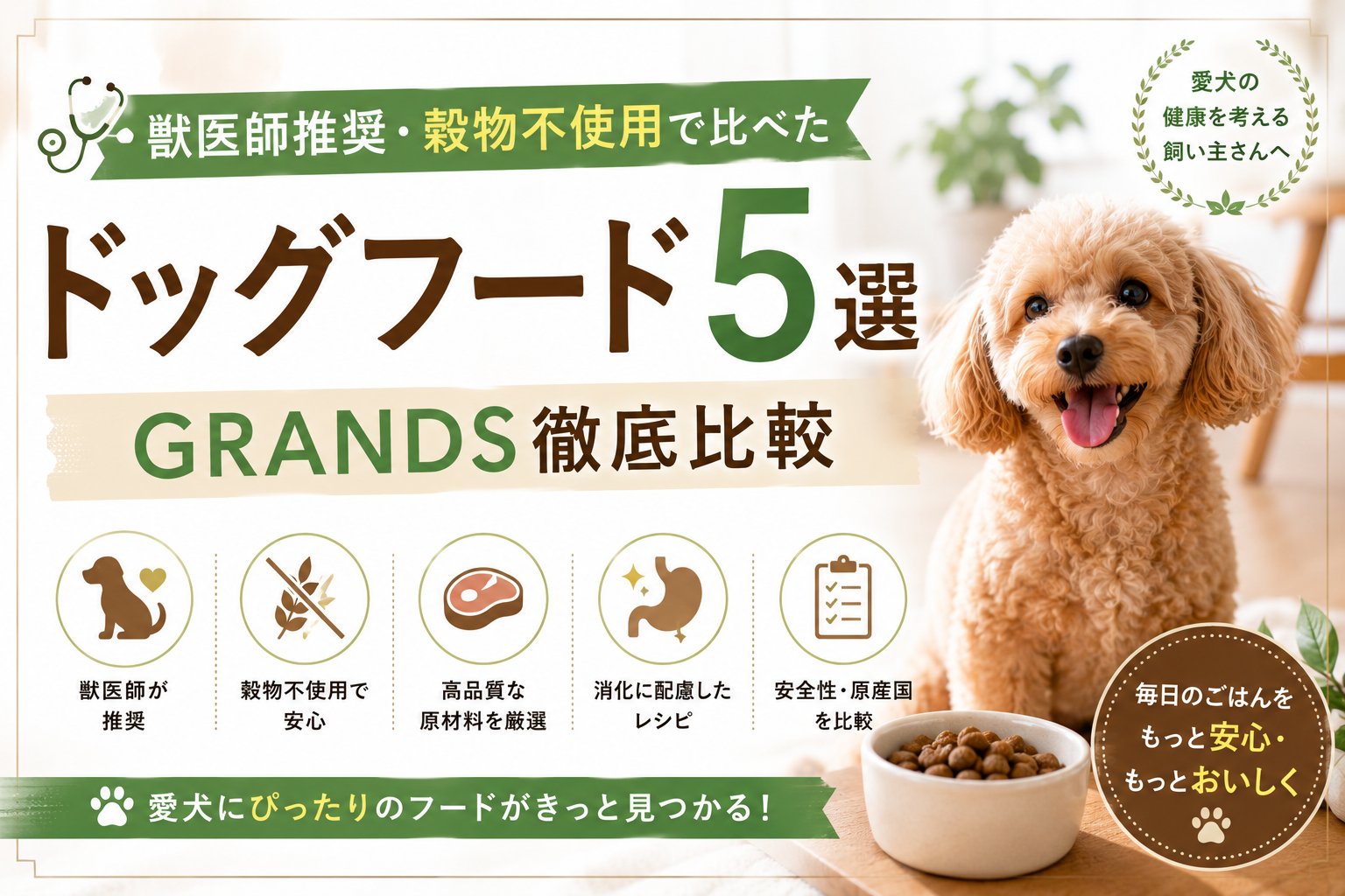 獣医師推奨・穀物不使用で比べたドッグフード5選｜GRANDS徹底比較【2026年最新】